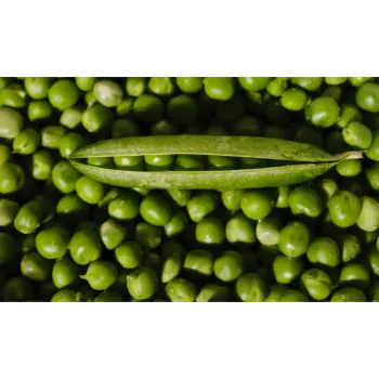 Fresh Green Peas